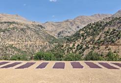 3000 rakımda üretiliyor! Lezzetine doyum olmuyor