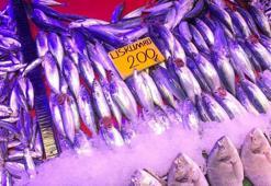 20 yıl sonra geri döndü, 200 liradan satılıyor! "Bu yıl uskumru yılı olacak"