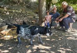 Elazığ iki aydır gizemli bir tehlikeyle karşı karşıya! Mahallelinin gözüne uyku girmiyor: Sırayla nöbet tutmaya başladılar