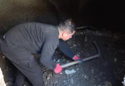 Adıyaman'da 40 odaya girildi: Vurulan her kazmada bir parça hazine çıktı! Kazı yol üzerinde başladı