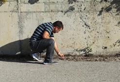 Denizden kilometrelerce uzakta Çankırı'da bulundu! Bilim insanları şaşkın