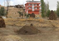 Erzincan'da hazırlık başladı! Günlerce kurutup kışın sobada yakıyor