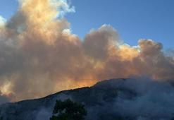 Antalya ve Muğla'da orman yangını! Müdahale devam ediyor, mahalleler boşaltıldı