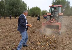 Çankırı'da hasat başladı! Deneme amaçlı ektiler, ilk ürünlerini aldılar!