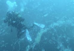 Marmara Denizi'nde alarm zilleri çalıyor: Müsilaj geri döndü!