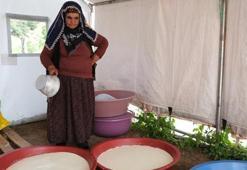 Erzincan'da Şavak Aşireti'nin zorlu yayla mesaisi meyvesini verdi! Tescilli ürünün satışları başladı