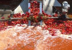 Gaziantepli ustalar çözdü: Kimse rahatsız etmiyor