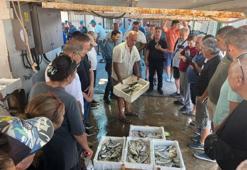 Gece avlanan balıklar, sabah mezatta alıcıyla buluşuyor! Fiyatı 200 liradan satılıyor