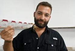 Aydın'da akrep zehri üreten girişimci 4 ayda 4 bin yavru akrep üretti! Fiyatı altınla yarışıyor