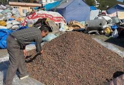 Zonguldak'ta boş fındık toplayıcıları sahneye çıktı! Çuvalı 100 liradan satılıyor