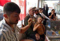 Kanaryalar satışa çıktı! Fiyatları 300 TL ile 1000 TL arasında değişiyor