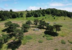 Kayıp Osmanlı şeyhi Tokat'ta bulundu! Çaldıran Seferi'nde vefat etti, türbesine akın var!
