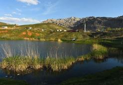Konya'da bir günde oluştu! 80 metre derinlikte altın var: 2 metrelik balıklar görüldü