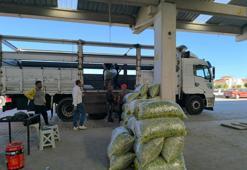 Afyon'da fasulyenin kilosu yüzleri güldürdü! Üretici, tüccar ve nakliyeci bir araya geldi