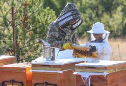 İstanbul'daki hayatını bıraktı, arıları için her hafta 900 kilometre yol yapmaya başladı!