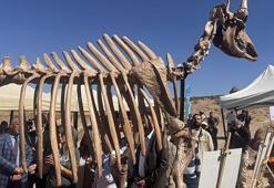 7,7 milyon yıllık keşif şaşkına çevirdi! Dünyada eşi benzeri yok! "Mucize gibi bir şey"