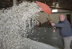 Erzurumlu girişimci devletten aldığı destekle işini büyüttü! Sonra da gidip kentin en önemli ödülünü aldı