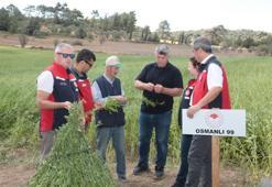 Çanakkale'de makinalı hasat başladı: 8 çeşit üreticinin yüzünü güldürdü