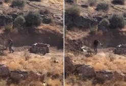 Sivas'ta o görüntüler sonrası harekete geçildi: 4 aylık köpeğe şiddet uygulayan zanlı gözaltında!
