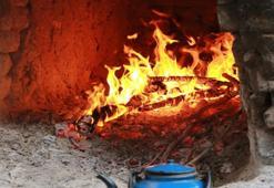 Çanakkale'de makinalı hasat başladı: 8 çeşit üreticinin yüzünü güldürdü