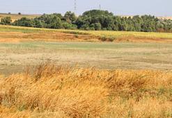 Kuraklık göleti kuruttu! Binlerce hayvan susuz kalınca muhtar 50 yıllık kaynağı keşfetti