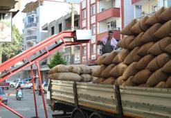 Türkiye üretimde dünyada birinci! Bu yıl fiyatı rekor kıracak
