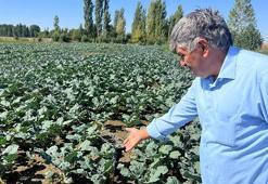 Eskişehir'de su seviyesi 15 metreye düştü! Tezgahlarda fiyatlar 5 katına çıktı