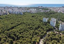 Konyaaltı'nda 'Arapsuyu Davası' 1970'den beri çözüme kavuşamıyor! Paha biçilemeyen arazinin mirasçıları arttıkça dava uzadı