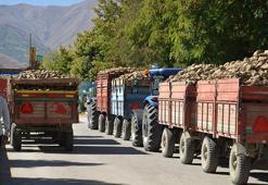 Muş'ta sezon başladı: 1532 çiftçinin yüzü gülecek, 1 milyar lira ödeme yapılacak!