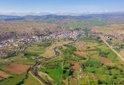 Sivas'ta özel olarak üretiliyor! Resmen şifa kaynağı, dünya peşine düştü