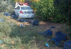 Mersin'de hasat faciaya dönüştü! Ölü ve yaralılar var