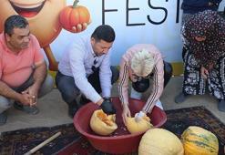 Nevşehir'in altın taneleri hasat edildi! İkinci kez düzenlenen festivale yoğun ilgi