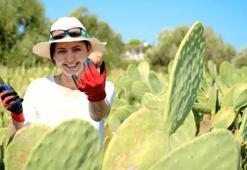Antalya'da girişimci kadın bu bahçeyi kurarken alay konusu oldu! Şimdi ürünün tamamını yurt dışına satıyor