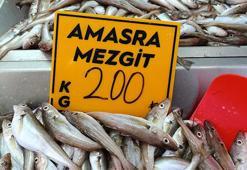 Balıkçılar 'kestane karası'nı bekliyor! Talep var ama tezgahlar boş kaldı