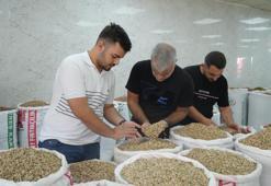 Üretimde dünyada üçüncüyüz ama kuraklık fiyatları tavan yaptırdı! 20 yıl sonra ithalat izni geldi, şimdi fiyatlar en dipte