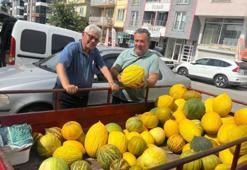 Yılın en geç hasadı burada yapılıyor! Farklı aromasıyla diğerlerinden ayrılıyor
