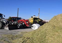 Eskişehir'de paketleme sezonu başladı! 5 milyon TL ek gelir sağlanacak