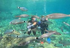 Marmaris’in su altı hazinesine yoğun ilgi: Batıklar ve mercanlar turist akınına uğruyor!