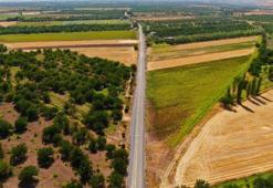 Malatya’da yollar yenilendi! : Asfalt ve köprü çalışmaları tamamlandı