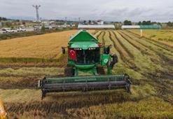 Türkiye'nin ihtiyacının 4'te 1'i bu bölgeden karşılanıyor! Kalitesiyle sofraların vazgeçilmezi