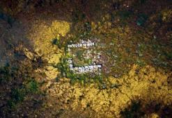 Sapanca'da gizemli yapı tekrar ortaya çıktı! Kazma-kürekle bölgeye gidenler merak uyandırdı