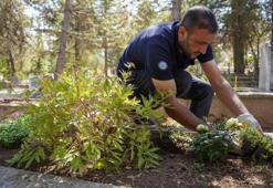 Eskişehir Büyükşehir Belediyesi duyurdu; Yıllık 12 bin TL olacak