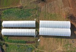 Kocaeli'de çiftçilere müjde: Yüzde 50 hibe verildi