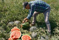 30 tır karpuz satan çiftçi ancak bir tane Iphone 17 alabiliyor