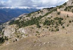 Gümüşhaneli genç tarih yazdı: Önce girişimci oldu, sonra muhtar!