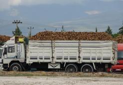 Burdur'da pancar alımı başladı: 700 bin ton işlenecek
