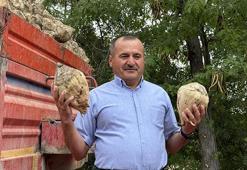 Burdur Şeker Fabrikası'nda sezon açıldı: Hedef 75 bin ton kristal şeker!