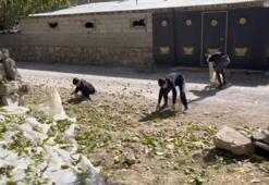 Tek tek toplanıyor, Türkiye'nin en kalitelisi burada yetişiyor! Kilosu 600 liradan satılıyor