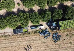 Geçen yıl bahçede de tezgahta da fiyatı ucuzdu! Bu sene işler değişti, fiyatı rekor kırdı