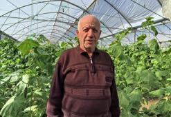 Doğu Anadolu'nun en büyük serasında üretim aralıksız sürüyor